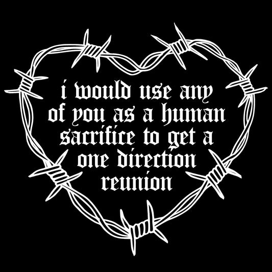 I'LL SACRIFICE ANYONE FOR 1D!