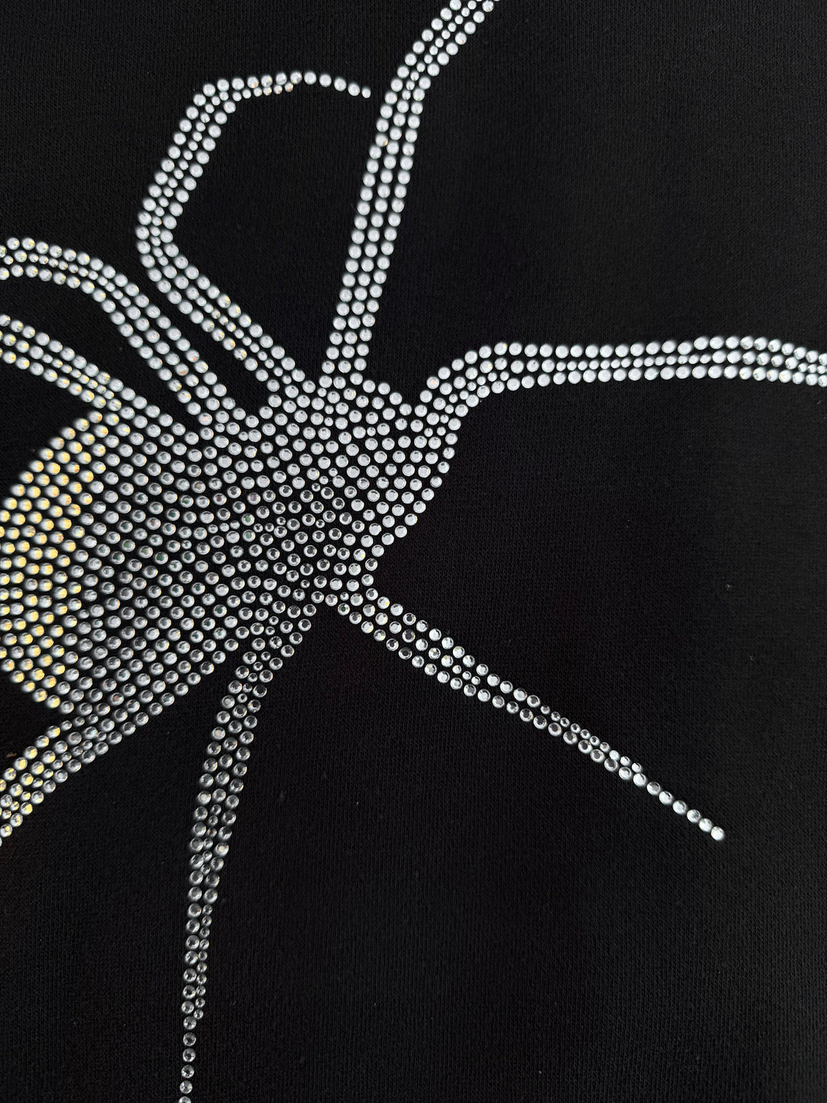 THE SPARKLY SPIDER HOODIE (PREORDER)
