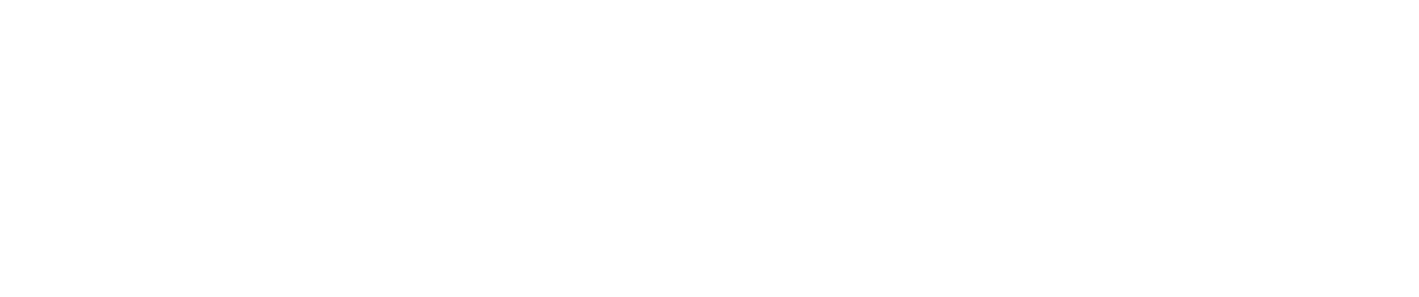 dragon denim in gothic font